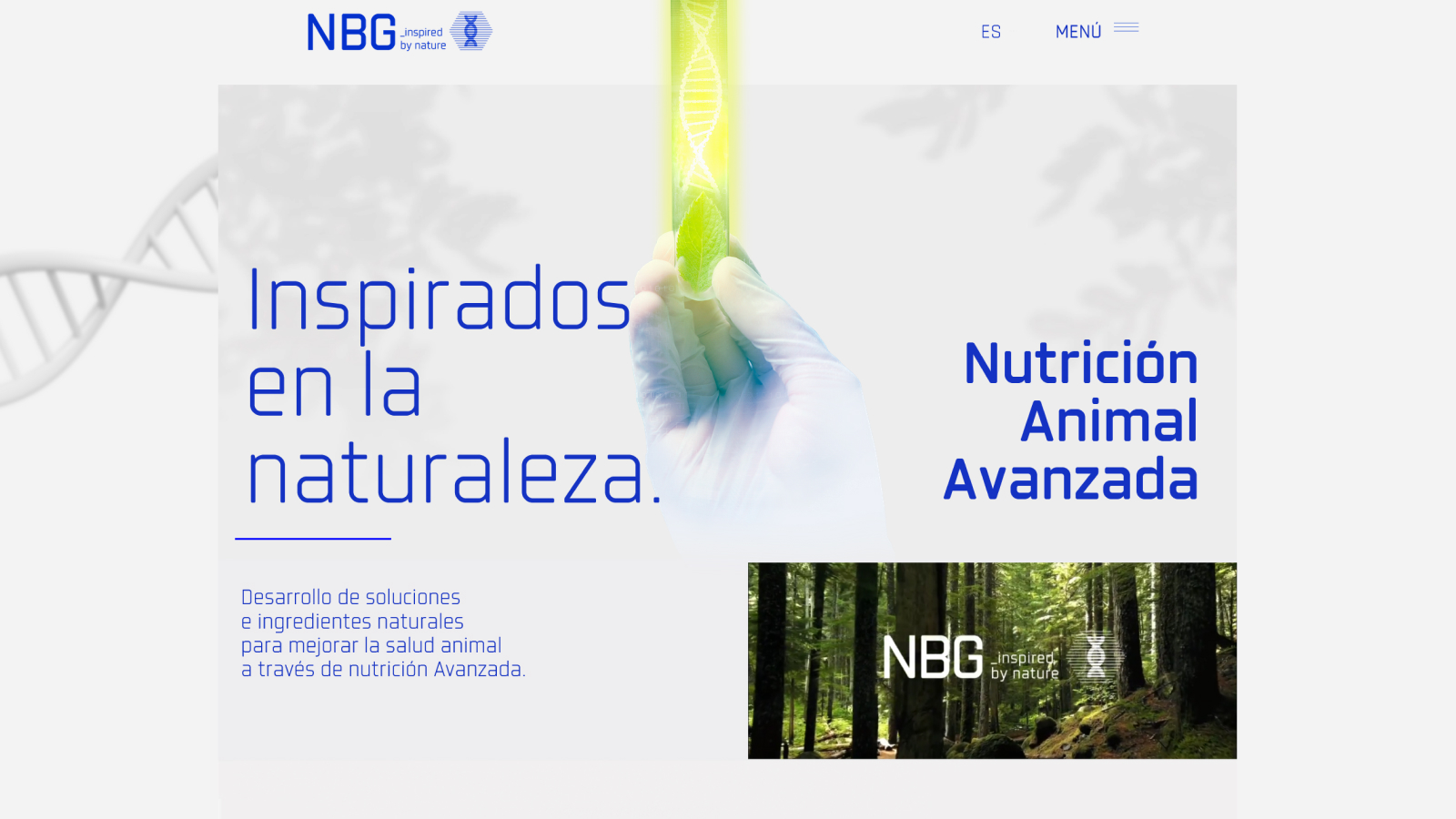 Proyecto de Marca